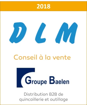 DLM